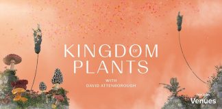 Kingdom of Plants with David Attenborough - Live in VR