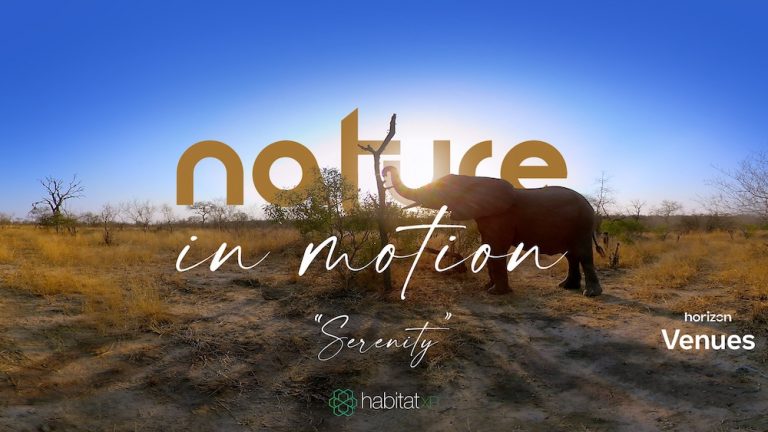 Nature in Motion: Serenity – Live in VR